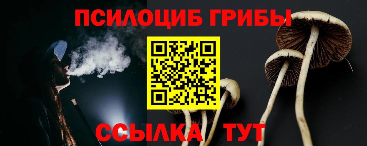 Галлюциногенные грибы Cubensis  наркотики  Всеволожск  Вход с VPN 