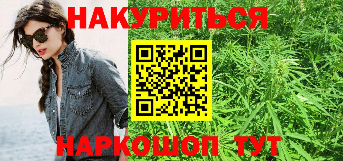Бошки марихуана OG Kush  Вход с VPN  Конопля ГИДРОПОН  Всеволожск  Каннабис планчик 