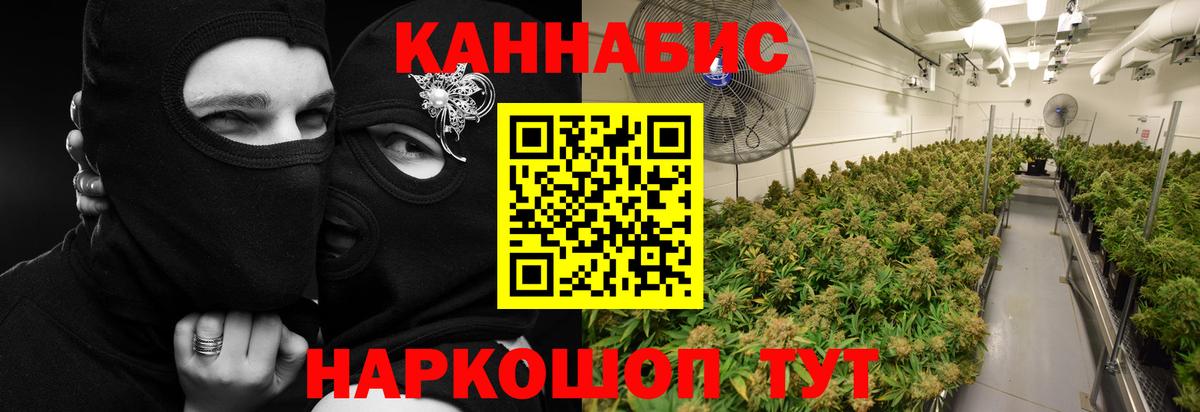 Каннабис семена Всеволожск